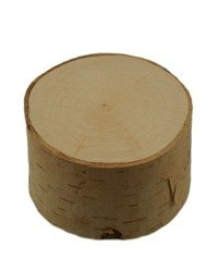 Pieniek drewna brzozowego o średnicy 6-10 cm, wysokość 4 cm