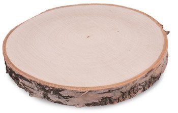 Szlifowany plaster drewna brzozowego o średnicy 20-24 cm, grubość 2,5 cm