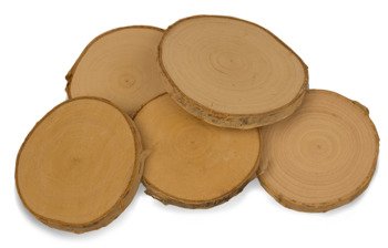 Szlifowany plaster drewna brzozowego o średnicy 8-10 cm, grubość 1 cm