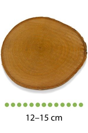 Plaster drewna brzozowego o średnicy 12-15 cm, grubość 1 cm