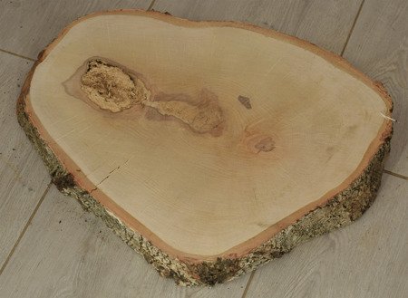 Plaster drewna brzozowego o średnicy 40-49 cm, grubość 8 cm