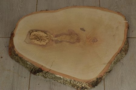 Plaster drewna brzozowego o średnicy 40-49 cm, grubość 8 cm