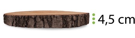 Plaster drewna brzozowego o średnicy 42-45 cm, grubość 4,5 cm