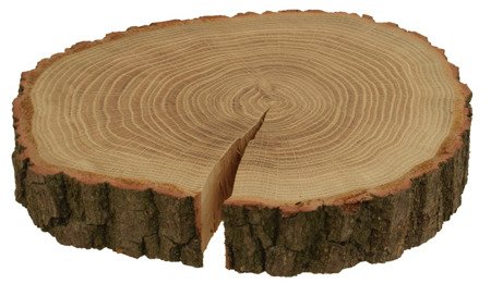 Plaster drewna dębowego o średnicy 26-30 cm, grubość 5 cm