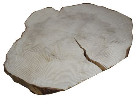 Plaster drewna jodłowego o średnicy 88-107 cm, grubość 12-20 cm