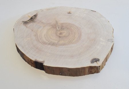 Szlifowany plaster drewna brzozowego bez kory o średnicy 20-28 cm, grubość 2,5 cm