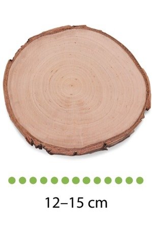 Szlifowany plaster drewna brzozowego o średnicy 12-15 cm, grubość 1 cm
