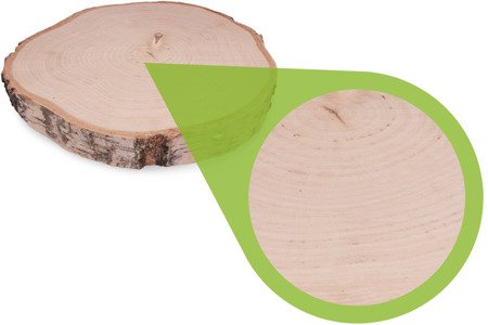 Szlifowany plaster drewna brzozowego o średnicy 28-33 cm, grubość 3,5 cm