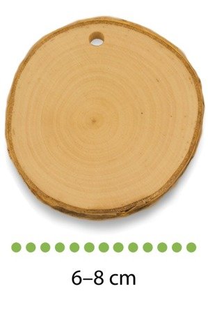 Szlifowany plaster drewna brzozowego o średnicy 6-8 cm, grubość 1 cm, z dziurką