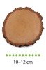 Plaster drewna brzozowego o średnicy 10-12 cm, grubość 2 cm, piękna kora