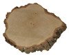 Plaster drewna brzozowego o średnicy 40-45 cm, grubość 8 cm