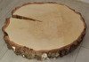 Plaster drewna brzozowego o średnicy 70-80 cm, grubość 12 cm